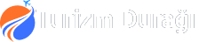 Footer Logo